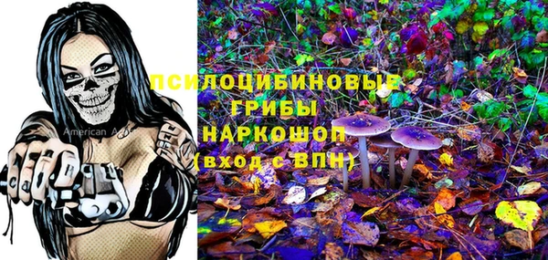 гидропоника Каменск-Шахтинский