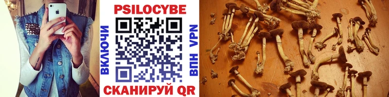 Псилоцибиновые грибы GOLDEN TEACHER  Купить где  Зея 