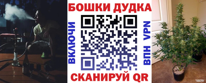 Купить где  Зея  Каннабис Bruce Banner 